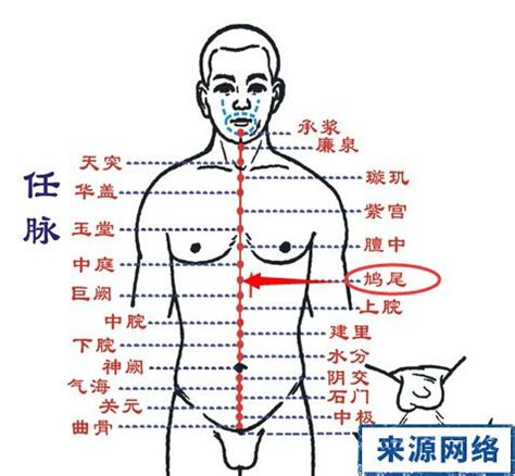 鳩尾穴位置|醫砭 » 中華針灸 » 鳩尾